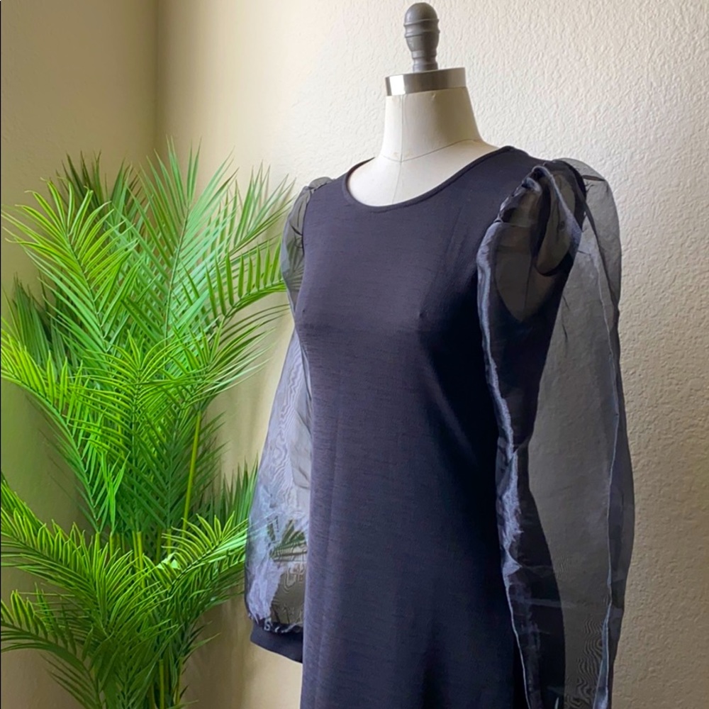 Sheer Sleeve Black Dress